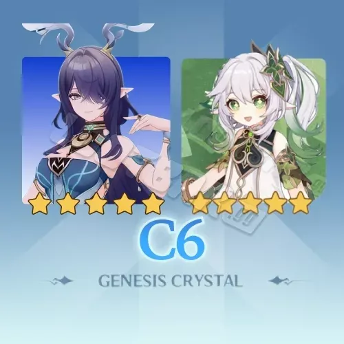 C6 Guaranteed Bundle